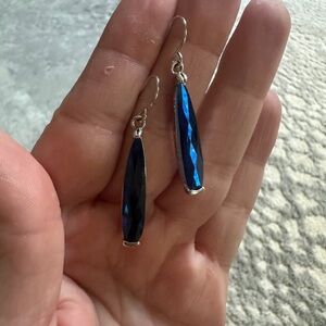 Sleek Midnight Blue Dangle Earrings